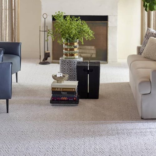 Living Room Pattern Carpet - Japke Decorating & Carpet in Staples, MN